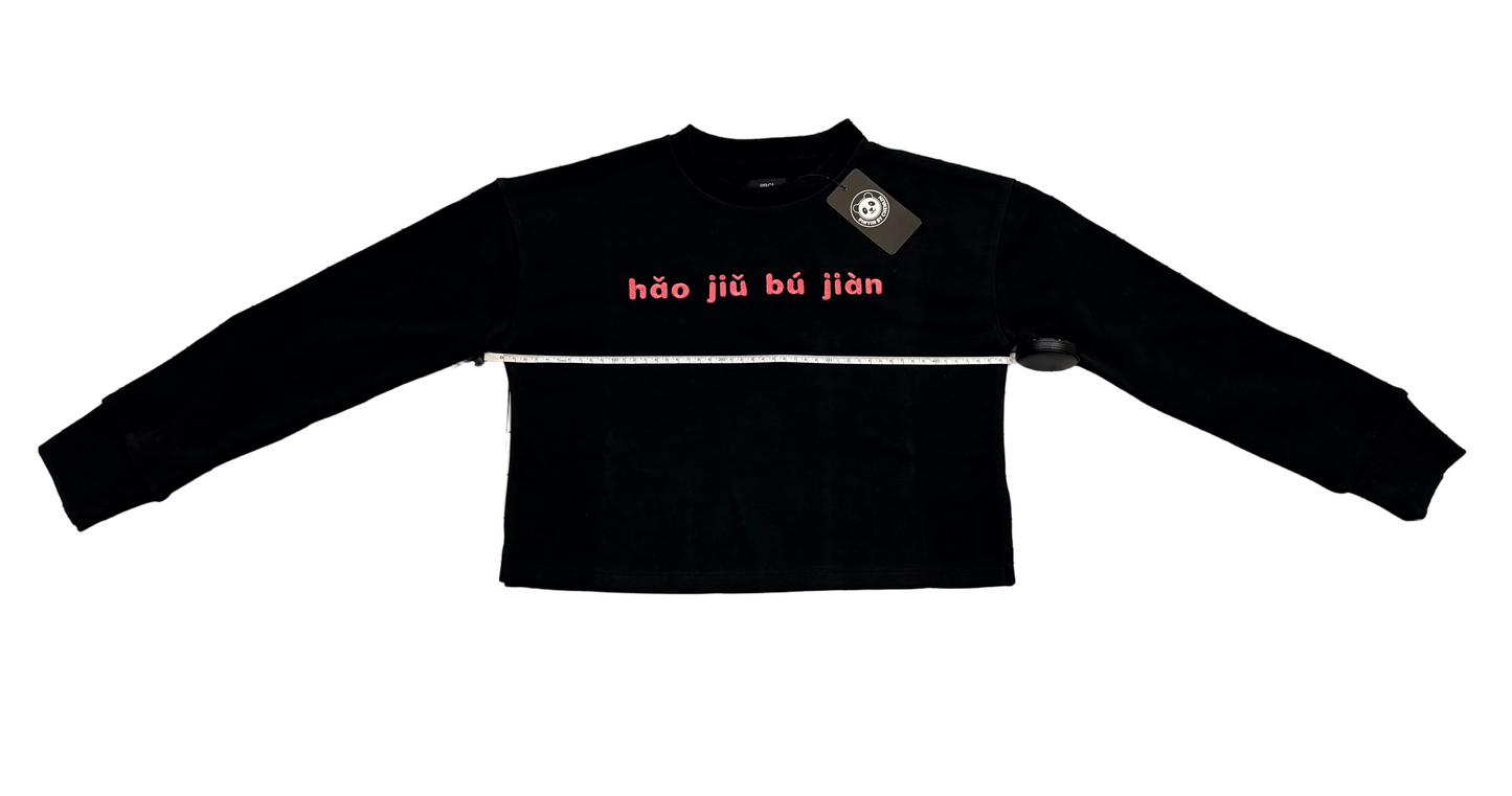 hǎo jiǔ bú jiàn
Crewneck Top